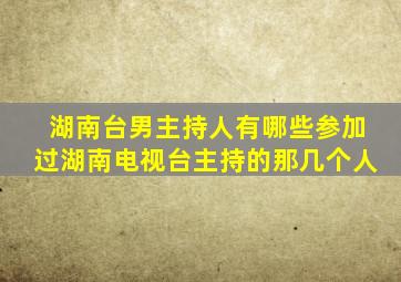 湖南台男主持人有哪些参加过湖南电视台主持的那几个人