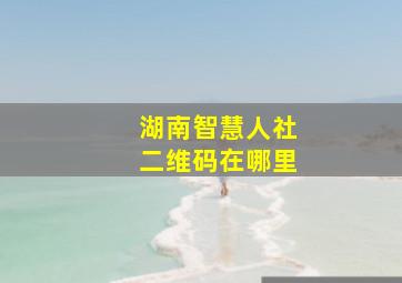 湖南智慧人社二维码在哪里