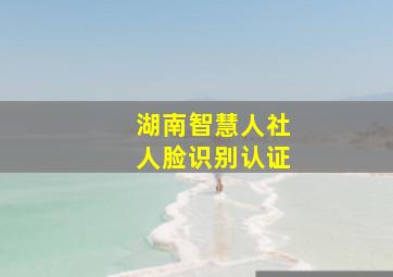 湖南智慧人社人脸识别认证