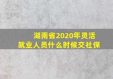 湖南省2020年灵活就业人员什么时候交社保