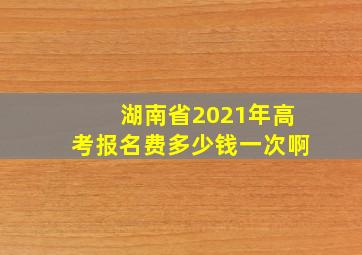 湖南省2021年高考报名费多少钱一次啊