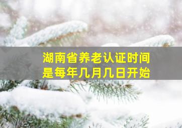 湖南省养老认证时间是每年几月几日开始