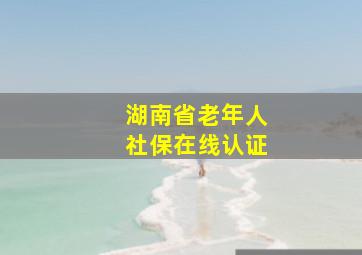 湖南省老年人社保在线认证