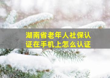 湖南省老年人社保认证在手机上怎么认证