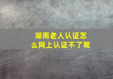 湖南老人认证怎么网上认证不了呢