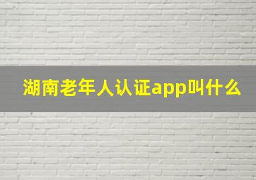 湖南老年人认证app叫什么