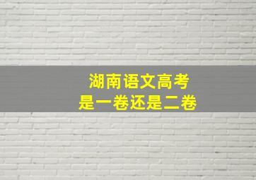 湖南语文高考是一卷还是二卷