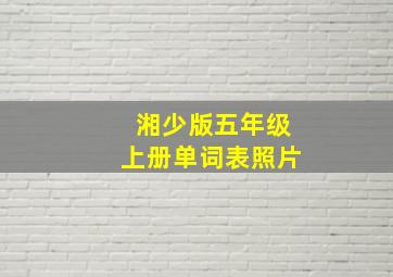 湘少版五年级上册单词表照片