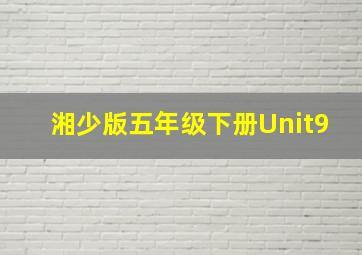 湘少版五年级下册Unit9