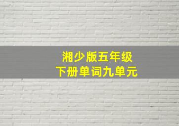 湘少版五年级下册单词九单元