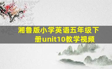 湘鲁版小学英语五年级下册unit10教学视频