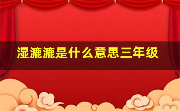 湿漉漉是什么意思三年级