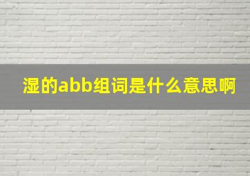 湿的abb组词是什么意思啊