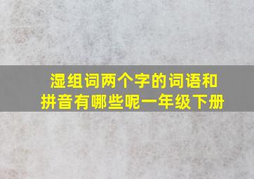 湿组词两个字的词语和拼音有哪些呢一年级下册