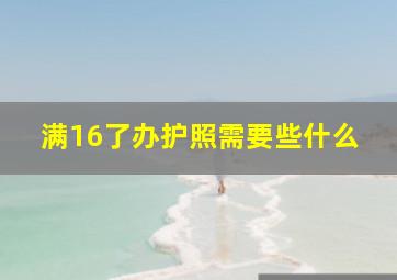 满16了办护照需要些什么