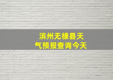 滨州无棣县天气预报查询今天