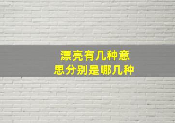 漂亮有几种意思分别是哪几种