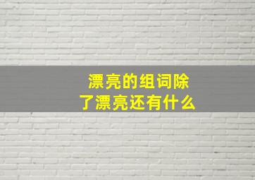 漂亮的组词除了漂亮还有什么