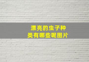 漂亮的虫子种类有哪些呢图片