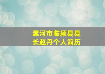 漯河市临颍县县长赵丹个人简历