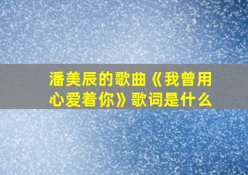 潘美辰的歌曲《我曾用心爱着你》歌词是什么