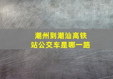 潮州到潮汕高铁站公交车是哪一路