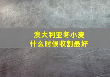 澳大利亚冬小麦什么时候收割最好