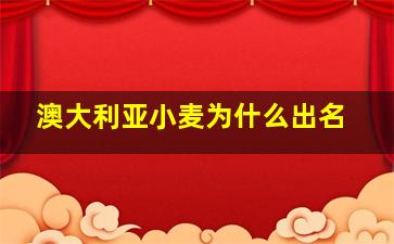 澳大利亚小麦为什么出名