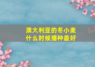 澳大利亚的冬小麦什么时候播种最好