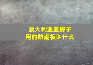 澳大利亚盖房子用的防潮板叫什么