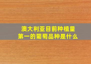 澳大利亚目前种植量第一的葡萄品种是什么