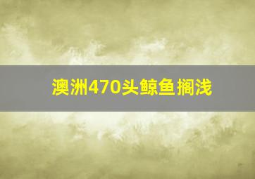 澳洲470头鲸鱼搁浅