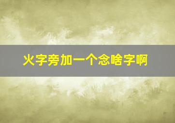 火字旁加一个念啥字啊