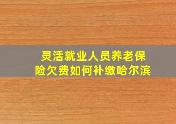 灵活就业人员养老保险欠费如何补缴哈尔滨