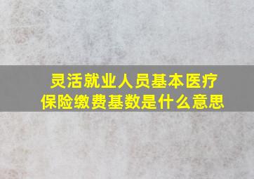 灵活就业人员基本医疗保险缴费基数是什么意思