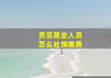 灵活就业人员怎么社保缴费