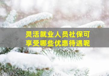 灵活就业人员社保可享受哪些优惠待遇呢