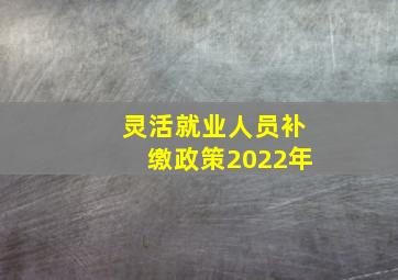 灵活就业人员补缴政策2022年