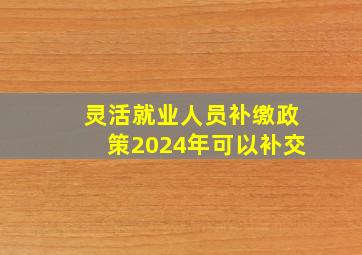 灵活就业人员补缴政策2024年可以补交