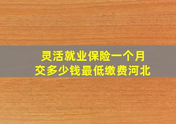 灵活就业保险一个月交多少钱最低缴费河北