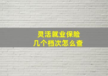 灵活就业保险几个档次怎么查