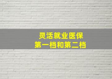 灵活就业医保第一档和第二档