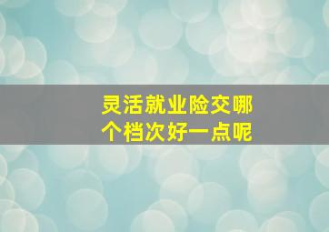 灵活就业险交哪个档次好一点呢