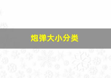 炮弹大小分类