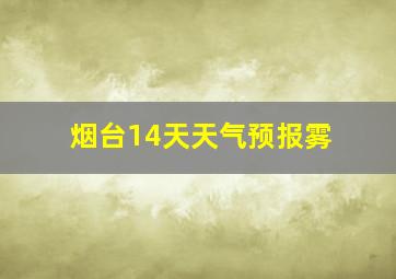 烟台14天天气预报雾