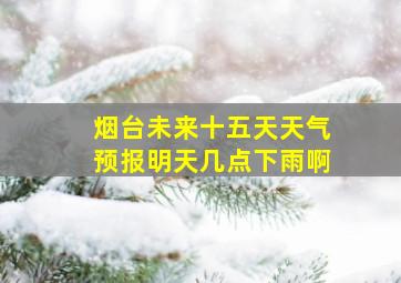 烟台未来十五天天气预报明天几点下雨啊