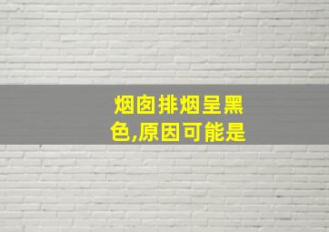 烟囱排烟呈黑色,原因可能是