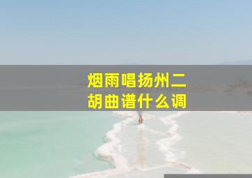 烟雨唱扬州二胡曲谱什么调