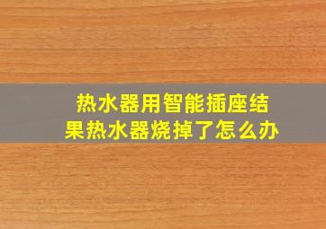 热水器用智能插座结果热水器烧掉了怎么办