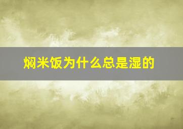 焖米饭为什么总是湿的